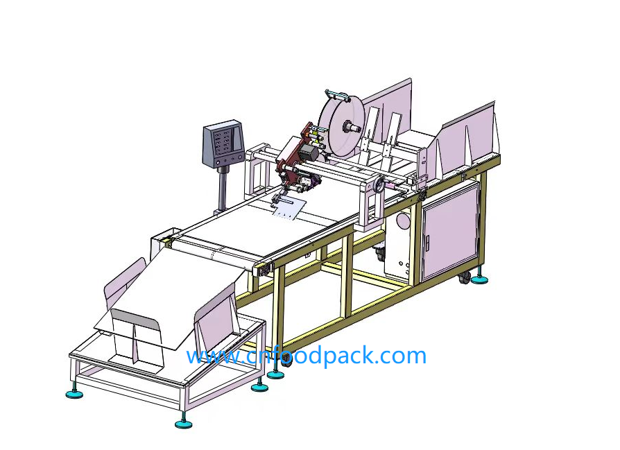 carton box labeling machine-cnfoodpack (9)