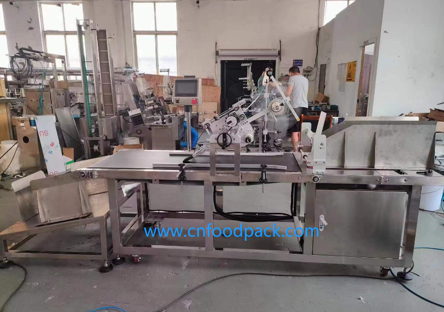 carton box labeling machine-cnfoodpack (2)