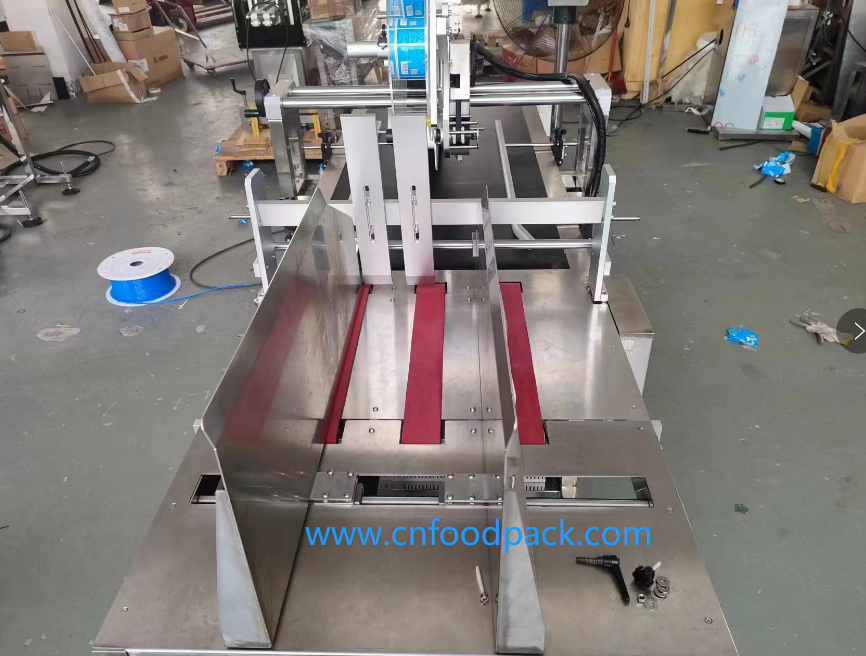 carton box labeling machine-cnfoodpack (4)