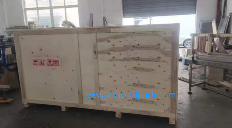 carton box labeling machine-cnfoodpack (6)