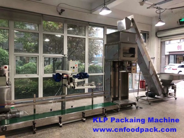  5kg 10kg 20kg 25kg Granule Packing Machine Rice Grain Bean Pet Foods Animal Feed Fertilizer Pellet Bag Packing Machine Semi Automatic Filling Machine 