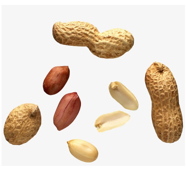 1kg 2kg Semi Automatic Peanut Packing Machine Granule Weighing Filling Machine 