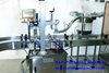20g-500g Powder Filling And Capping Production Line Auger Powder Bottle Filling Line 